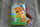 Libro Colas Tummy Time